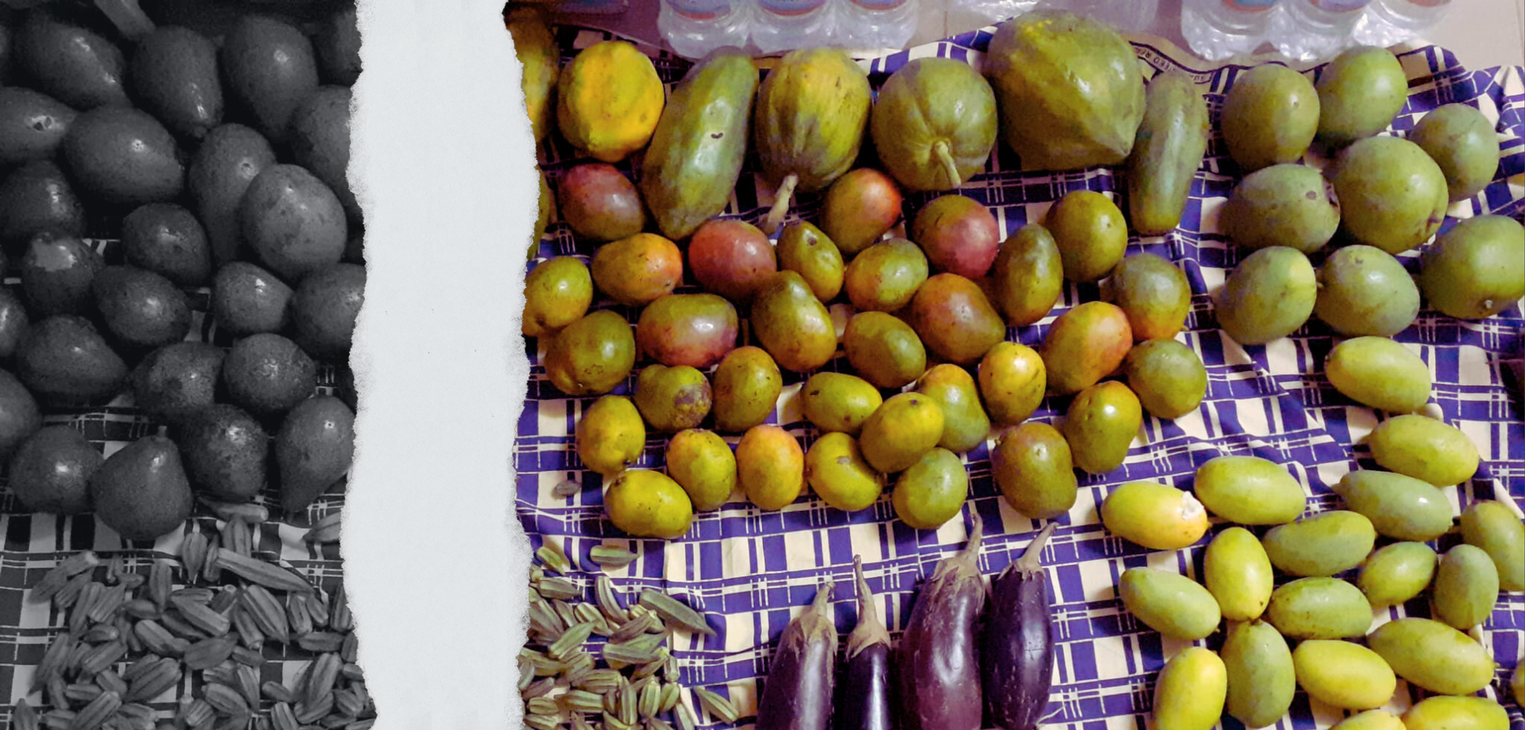 foto de fruta